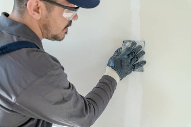 Mold Removal for HVAC Installations in Bamberg, SC