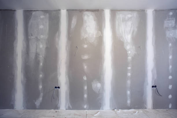 Mold Documentation for Insurance Claims in Bamberg, SC